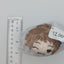 Mitsuru Tenma Ensemble Stars Mochimochi Mascot