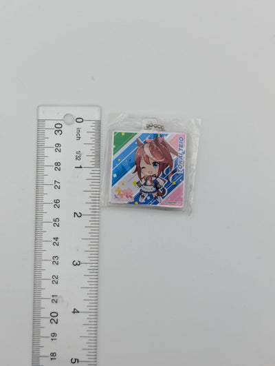 Tokai Teio Umamusume: Pretty Derby Mini Acrylic Keychain