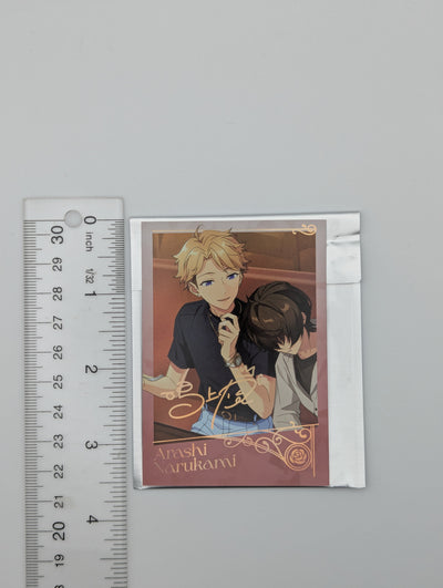 Arashi Narukami Ensemble Stars CN Polaroid
