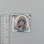 Honami Mochizuki Project Sekai Jewelery Box of SEKAI Glitter Can Badge