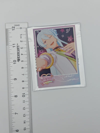 Wataru Hibiki Ensemble Stars CN Polaroid