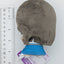 China Kuramoto Gakuen Idolmaster Chibigurumi Plush