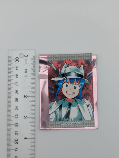 Iruma Suzuki Welcome to Demon School Iruma-kun Card