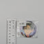 Keito Hasumi Ensemble Stars Can Badge
