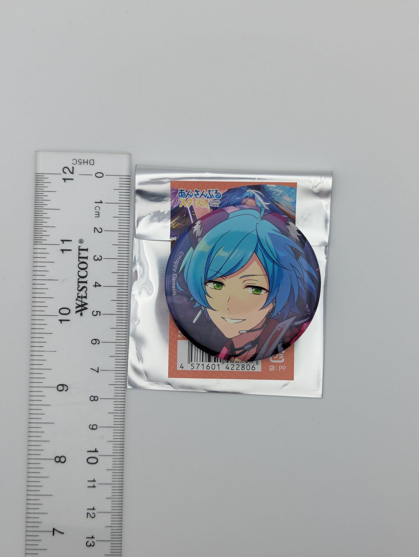 Kanata Shinkai Ensemble Stars Can Badge