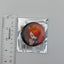 Ameri Azazel Welcome to Demon School / Mairimashita Iruma-kun Mafia ver. Can Badge