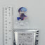 Toya Aoyagi Project Sekai COLORFUL LIVE 4th -Unison- Acrylic Clip Holder