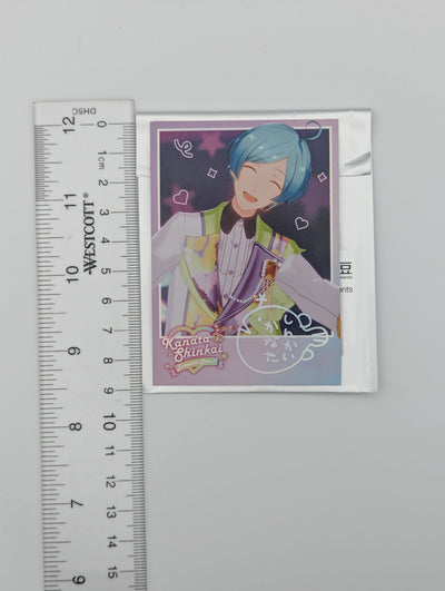 Kanata Shinkai Ensemble Stars CN Polaroid