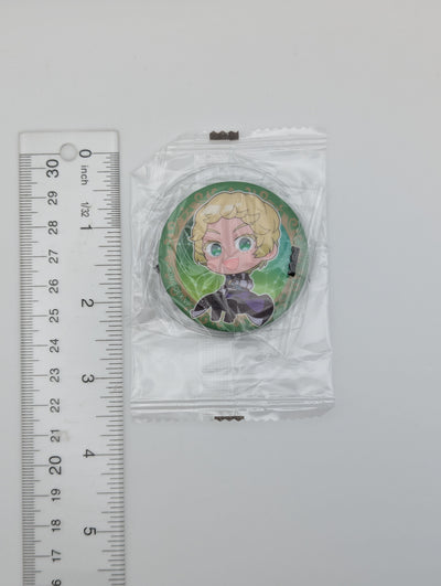 Roland Fortis The Case Study of Vanitas Can Badge