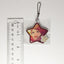 Shu Itsuki Ensemble Stars Metal Star Keychain
