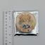Tomoya Mashiro Ensemble Stars CN Kitty Can Badge