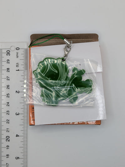 Brassius Pokemon Scarlet & Violet Rubber Strap