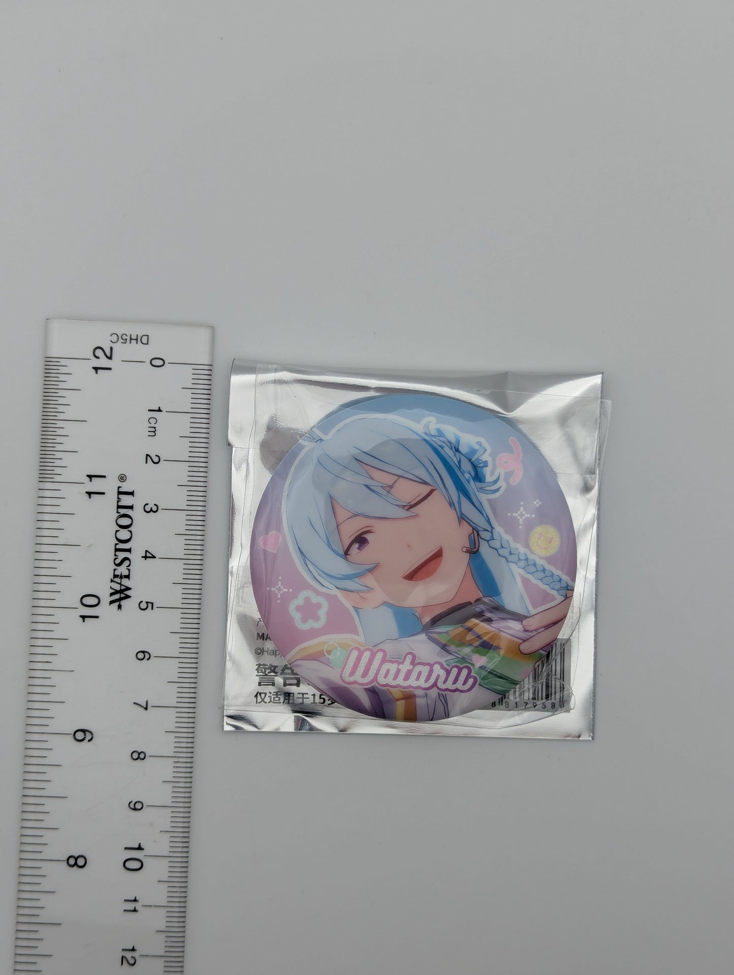 Wataru Hibiki Ensemble Stars CN Can Badge