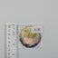 Hiyori Tomoe Ensemble Stars Can Badge