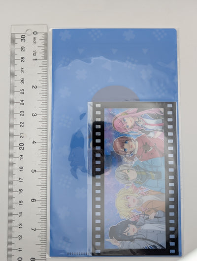 Ichika Hoshino Project Sekai Kuji Ticket Holder & Film