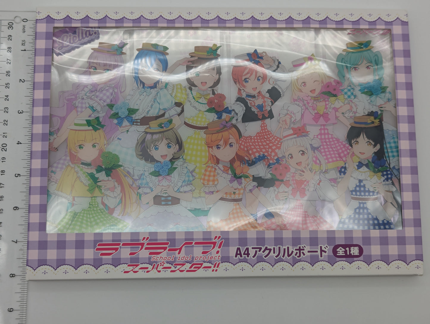 Love Live Superstar fanfancy+ GiGO Acrylic Panel
