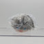 Izumi Sena Ensemble Stars Mochi Mochi Mascot Plush