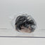 Ritsu Sakuma Ensemble Stars Mochi Mochi Mascot Plush