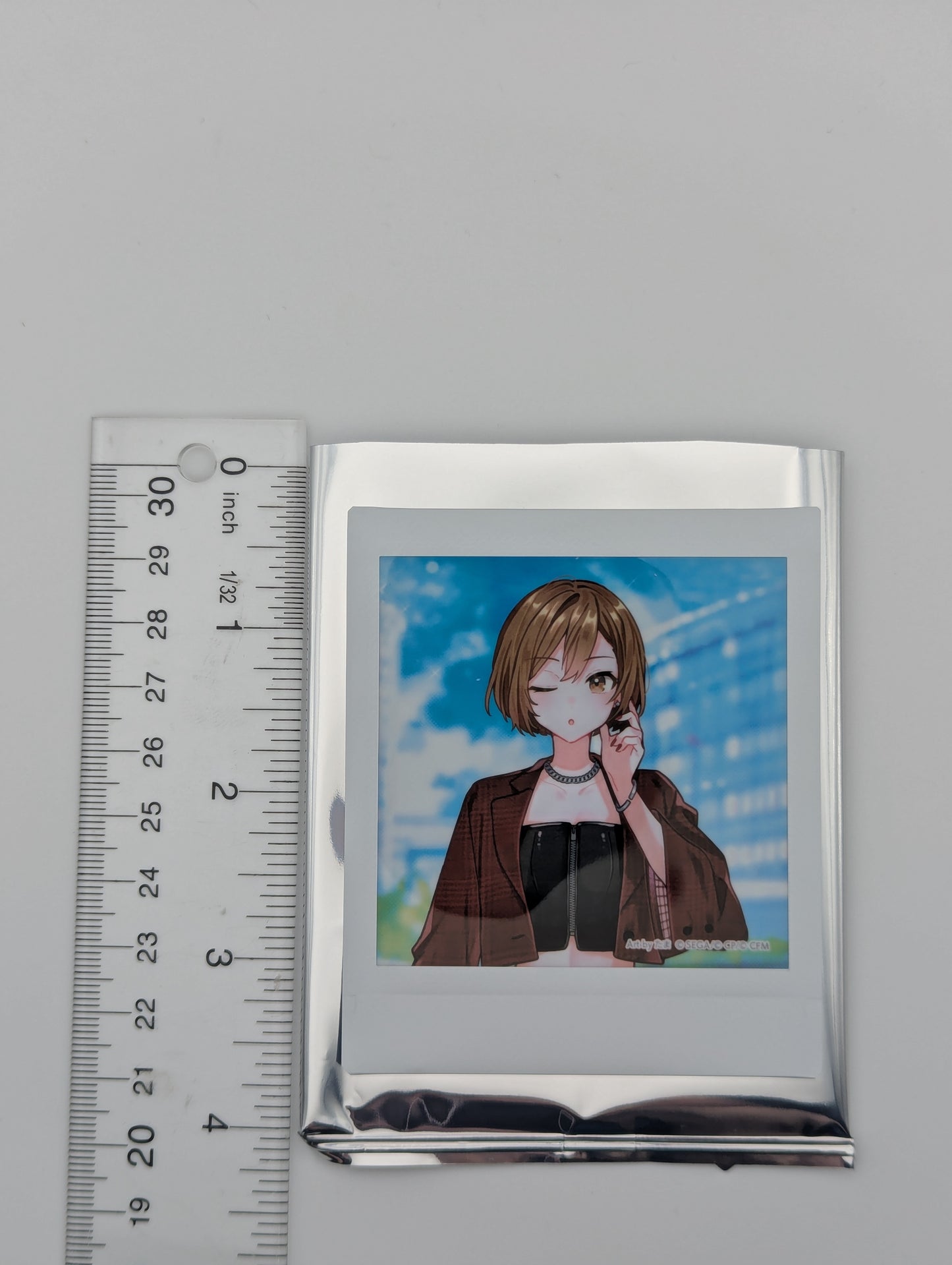 MEIKO Project Sekai Niconico Chokaigi 2025 Polaroid