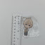 Eichi Tenshouin Ensemble Stars Acrylic Keychain
