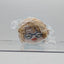Makoto Yuuki Ensemble Stars Mochi Mochi Mascot Plush