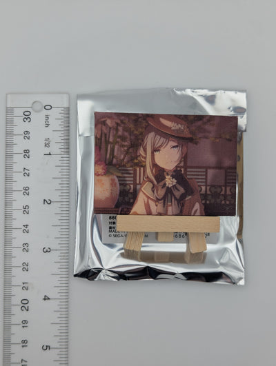 Shizuku Hinomori Project Sekai Mini Canvas