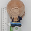 Rinami Himesaki Gakuen Idolmaster Chibigurumi Plush