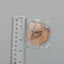 Juza Hyodo A3! Rubber Strap