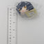 Jun Sazanmi Ensemble Stars Mini Mochi Mochi Mascot