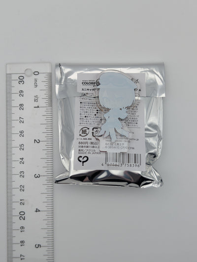 MEIKO Project Sekai 5th Live Frontier Acrylic Clip Stand