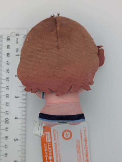 Ume Hanami Gakuen Idolmaster Chibigurumi Plush