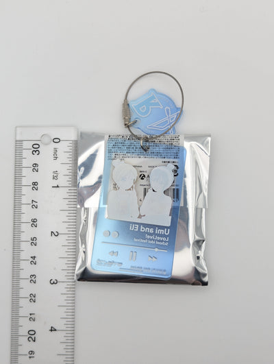 Umi Sonoda & Eli Ayase Love Live UR Pair Acrylic Keychain