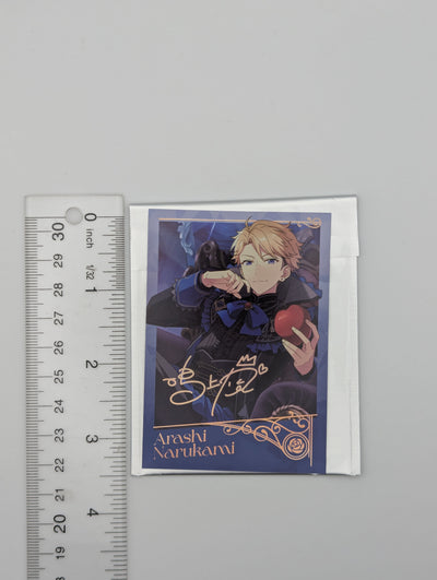 Arashi Narukami Ensemble Stars CN Polaroid
