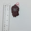 Riko Sakurauchi Love Live Sunshine Rubber Strap