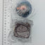 Diglett & Charmander Pokemon Terrarium Collection 10 Re-ment Figure