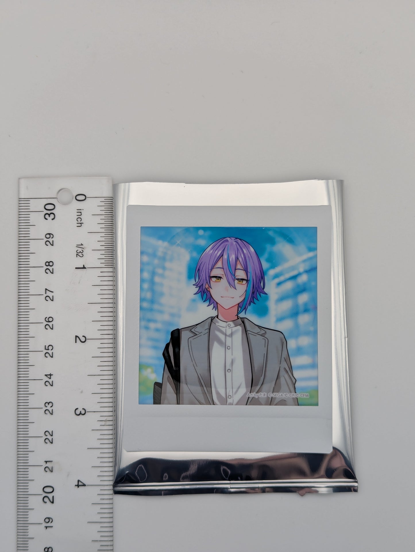 Rui Kamishiro Project Sekai Niconico Chokaigi 2025 Polaroid