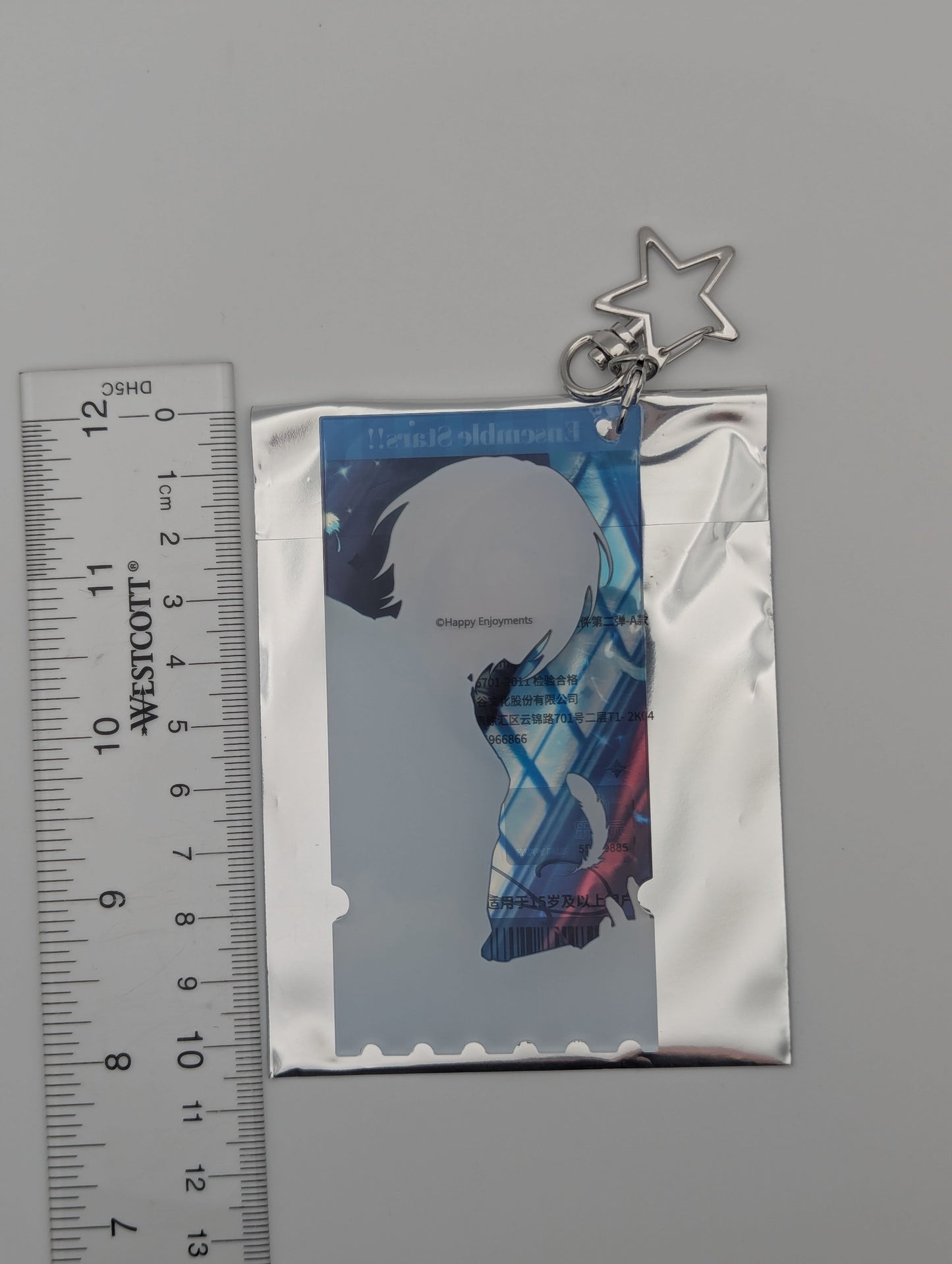 Eichi Tenshouin Ensemble Stars CN Acrylic Keychain