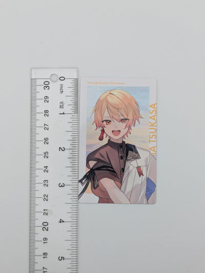 Tsukasa Tenma Project Sekai COLORFUL LIVE 4th -Unison- ePick Card