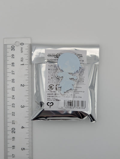 KAITO Project Sekai 5th Live Frontier Acrylic Clip Stand