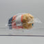 Sora Harukawa Ensemble Stars Mochi Mochi Mascot Plush