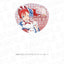 [PREORDER] Liella Love Live Superstar!! x Karaoke no Tetsujin Hop, Step, Moon! Clear Fans